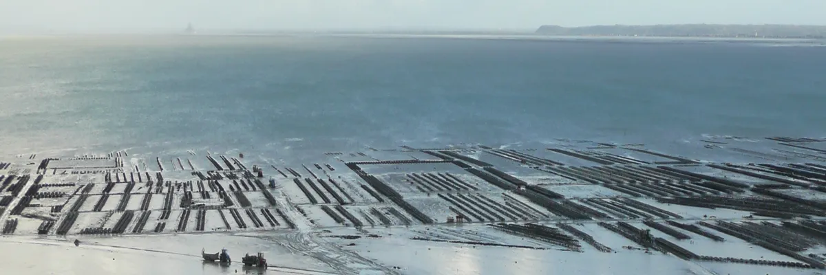 Image Constructeur terrain padel Cancale