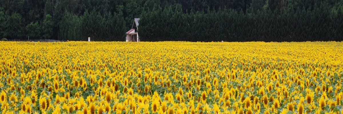 image-constructeur-terrain-padel-centre-val-de-loire.webp Image Constructeur terrain padel Centre-Val de Loire