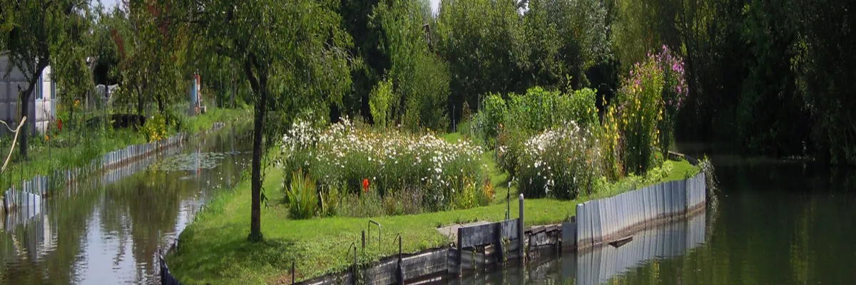 image-constructeur-terrain-padel-cher.webp Image Constructeur terrain padel Cher