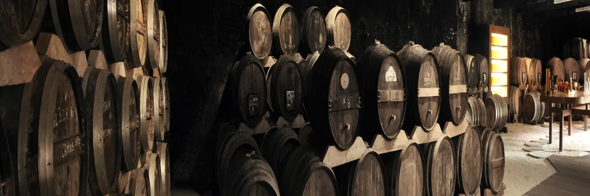 Image Constructeur terrain padel Cognac