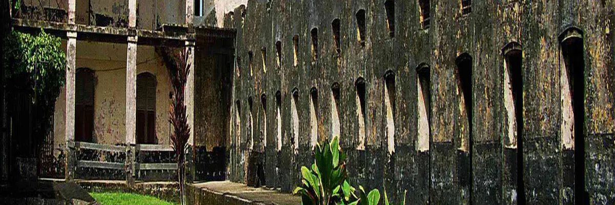 Image Constructeur terrain padel Guyane