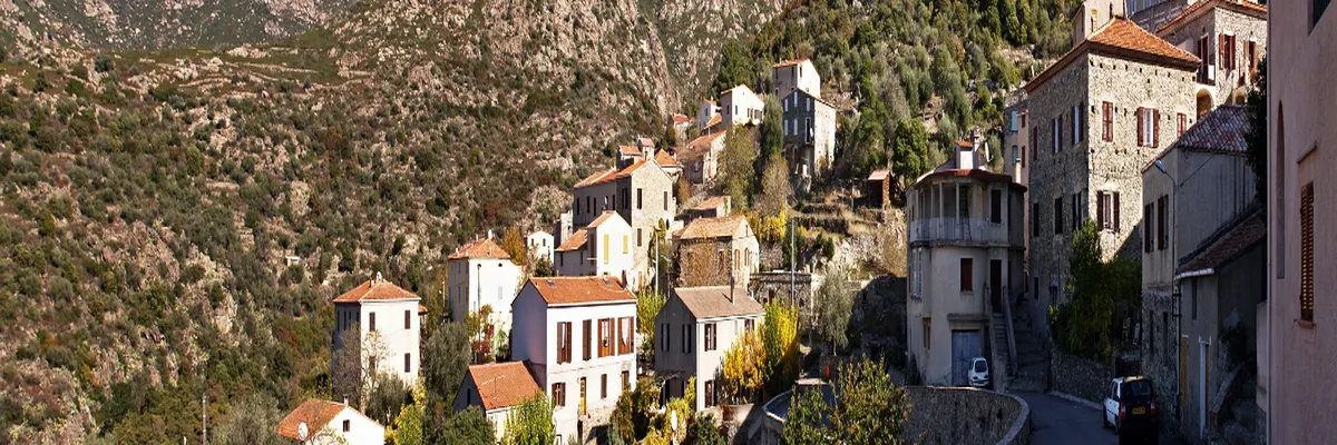 image-constructeur-terrain-padel-haute-corse.webp Image Constructeur terrain padel Haute-Corse