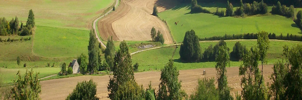 image-constructeur-terrain-padel-haute-marne.webp Image Constructeur terrain padel Haute-Marne