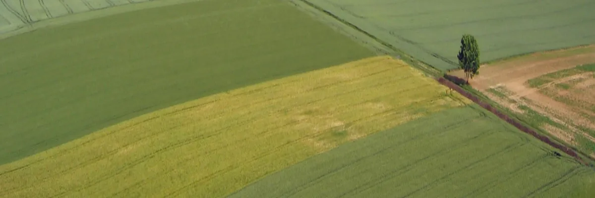 image-constructeur-terrain-padel-hauts-de-france.webp Image Constructeur terrain padel Hauts-de-France