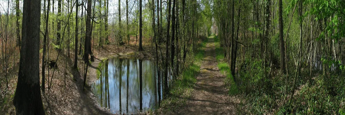 Image Constructeur terrain padel Indre