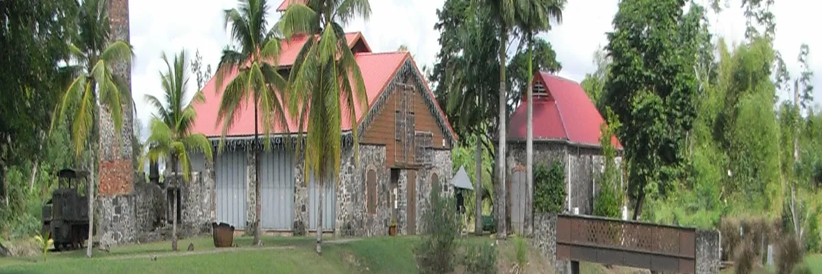 image-constructeur-terrain-padel-les-trois-ilets.webp Image Constructeur terrain padel Les Trois-Îlets