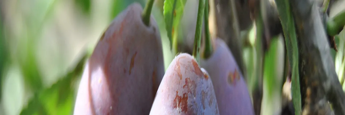 Image Constructeur terrain padel Lot-et-Garonne