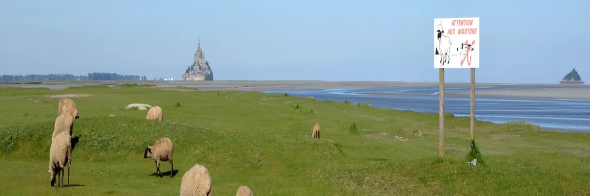 Image Constructeur terrain padel Manche