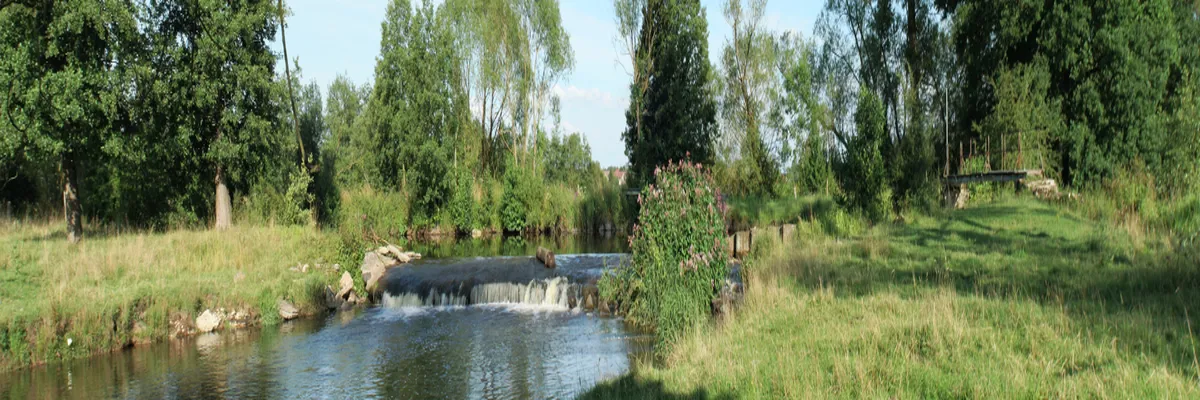 image-constructeur-terrain-padel-meurthe-et-moselle.webp Image Constructeur terrain padel Meurthe-et-Moselle