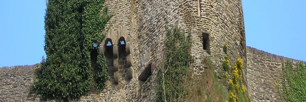 Image Constructeur terrain padel Saint-Lô