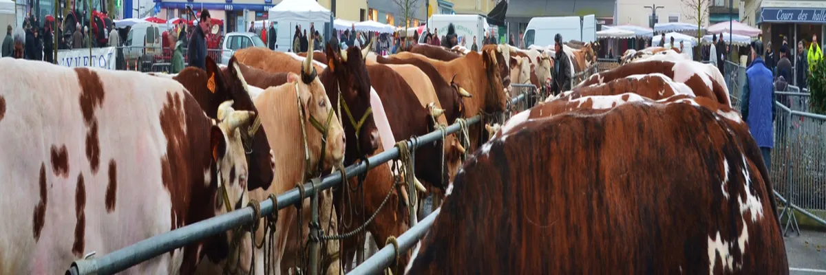 Image Constructeur terrain padel Yvetot