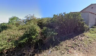 Image de Padel Bernard