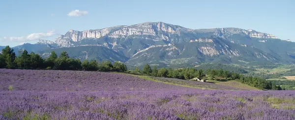 Fabricant Padel Constructeur terrain padel Drôme