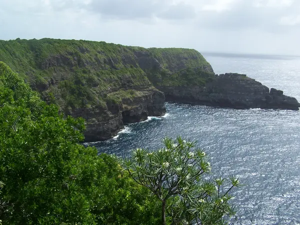 Fabricant Padel Constructeur terrain padel Guadeloupe