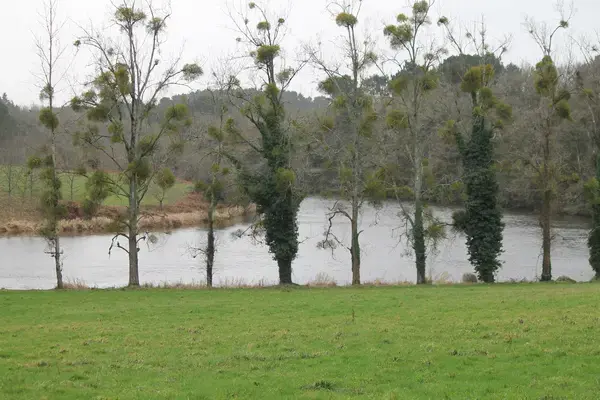 Fabricant Padel Constructeur terrain padel Muzillac