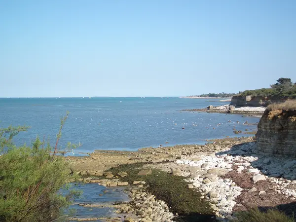 Fabricant Padel Constructeur terrain padel Nouvelle-Aquitaine